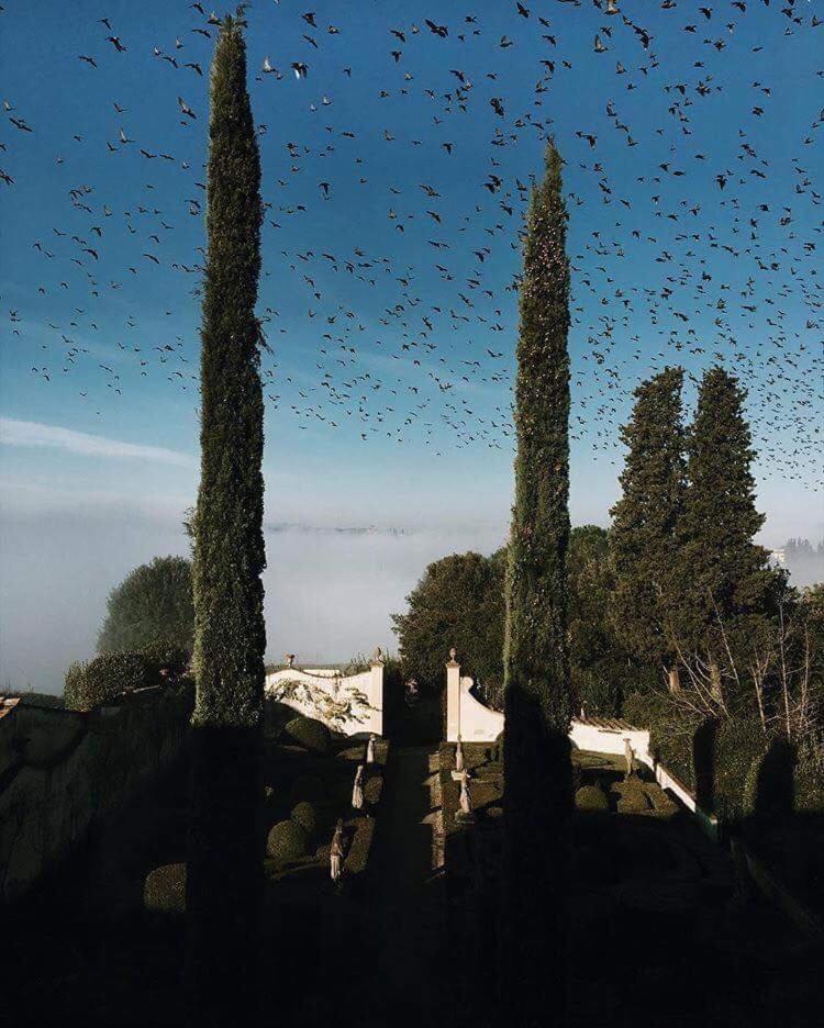 Villa Le Piazzole ฟลอเรนซ์ ภายนอก รูปภาพ